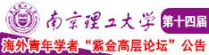 看国内大乳房美女操逼南京理工大学第十四届海外青年学者紫金论坛诚邀海内外英才！